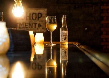 Real Kombucha in the bar