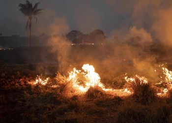 Amazon fires