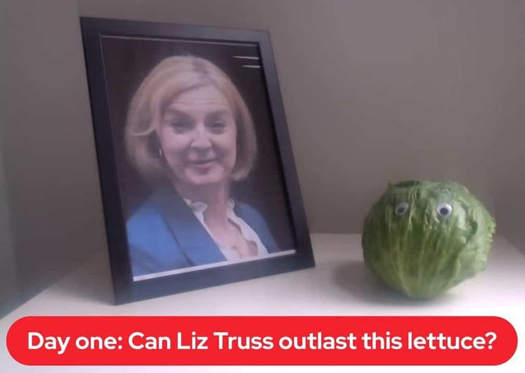 Liz Truss lettuce